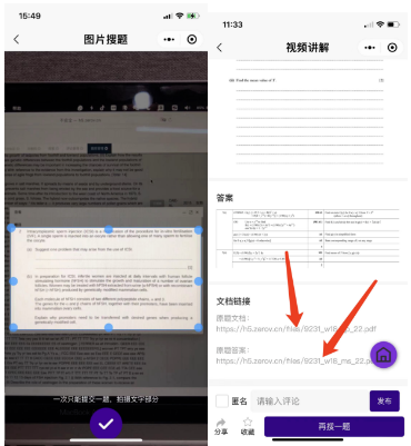 期末考试来袭！A-Level学习资源网站/小程序推荐，复习、刷题更有效率！