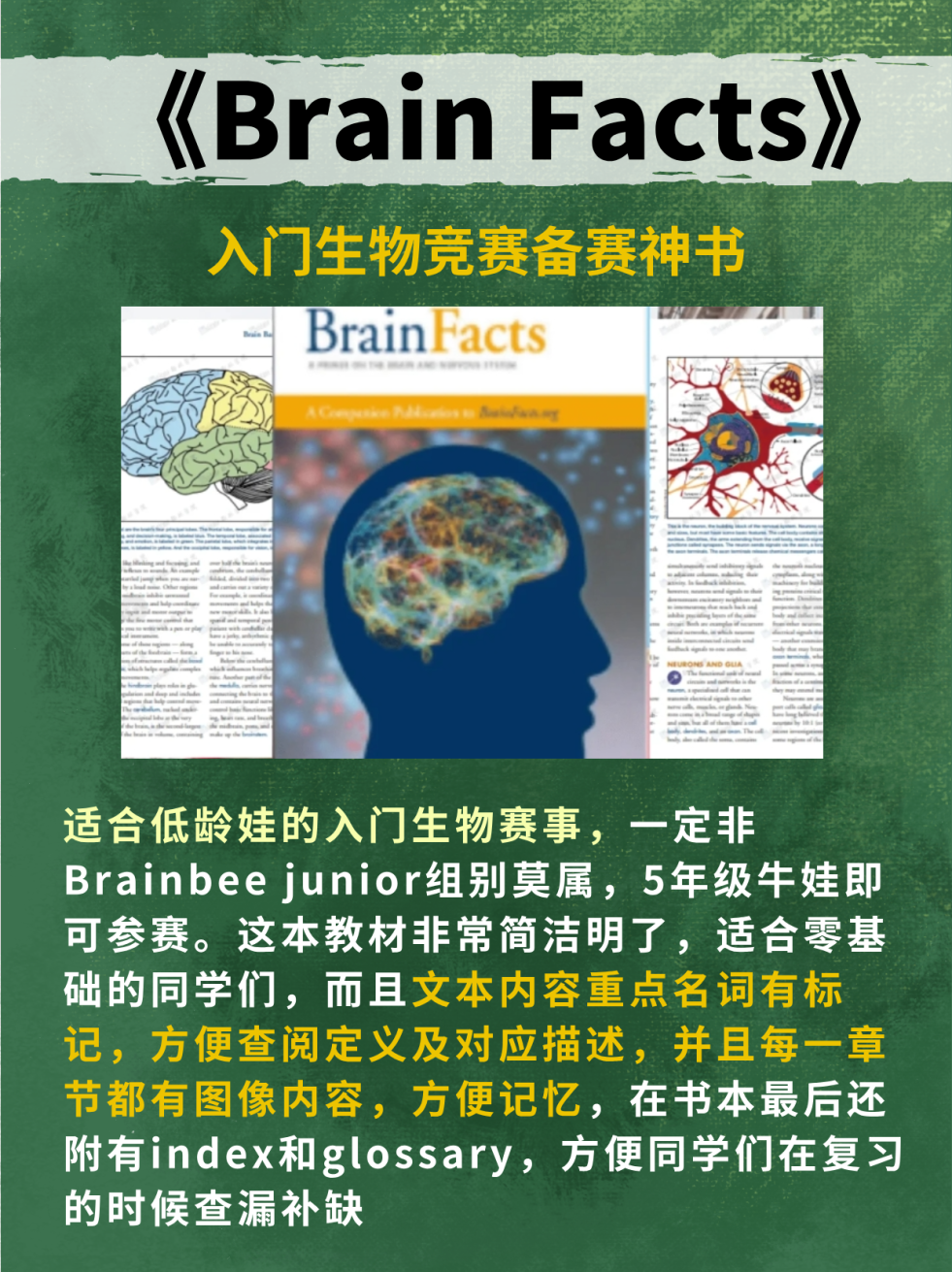 【生物竞赛】Brainbee脑科学大赛几年级可以参加？含金量如何？附Brainbee竞赛pdf教材